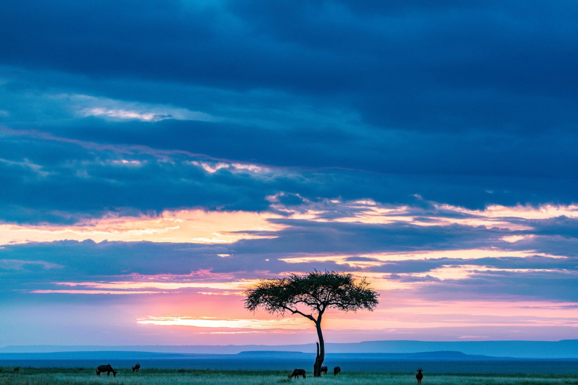 Traveling to Africa: things to know